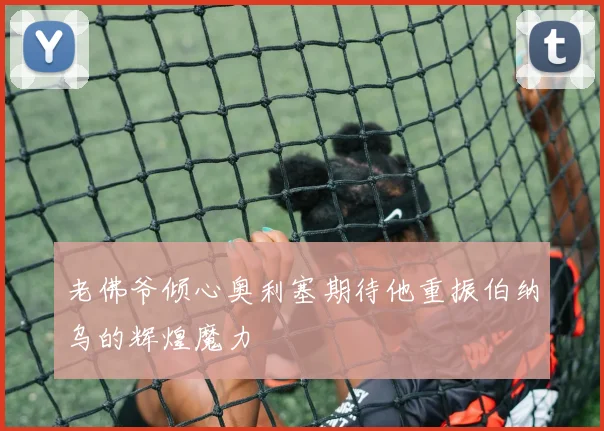 老佛爷倾心奥利塞期待他重振伯纳乌的辉煌魔力